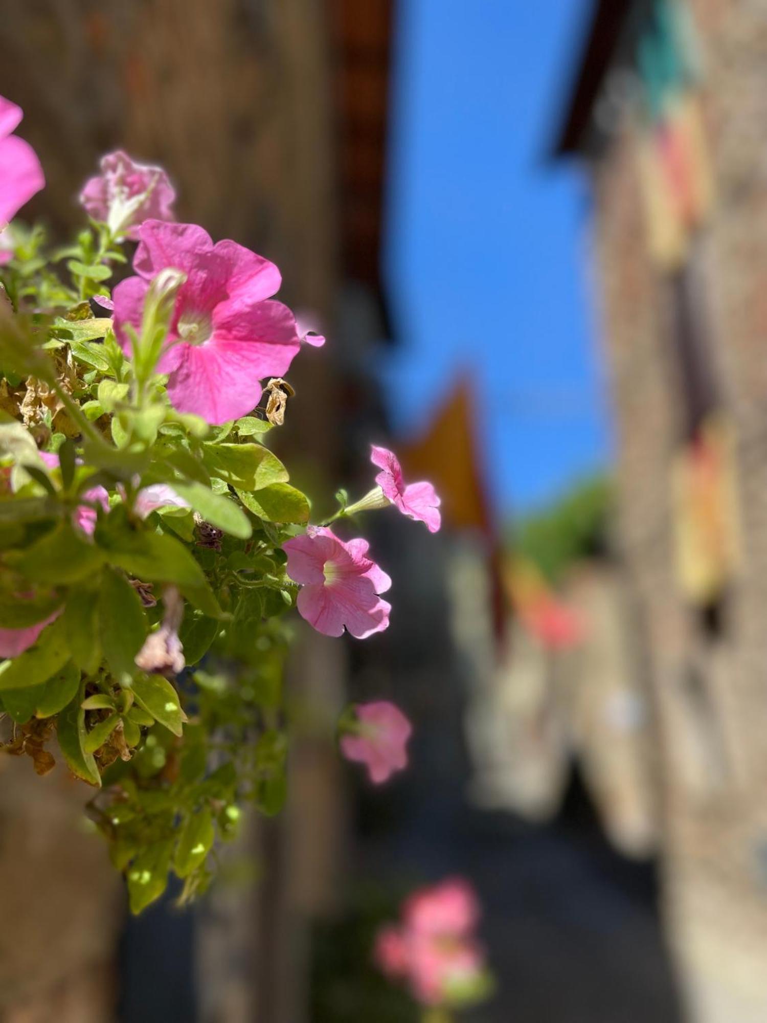La Casa In Castello *